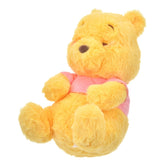 JDS Good Night's Sleep Collection x Pastel Color Fluffy Winnie the Pooh Plush Toy